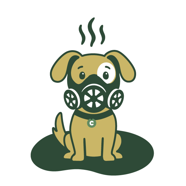 Flycatcher, Inc — ChewDoo_dog-maskstinky2.png