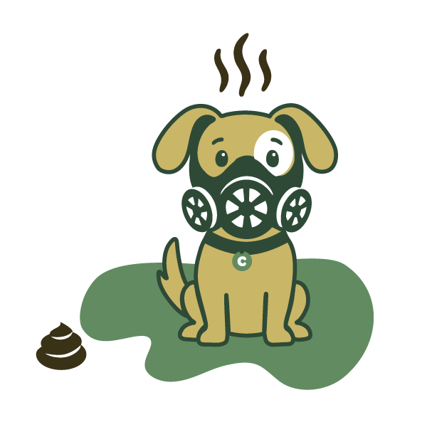 Flycatcher, Inc — ChewDoo_dog-maskstinky.png