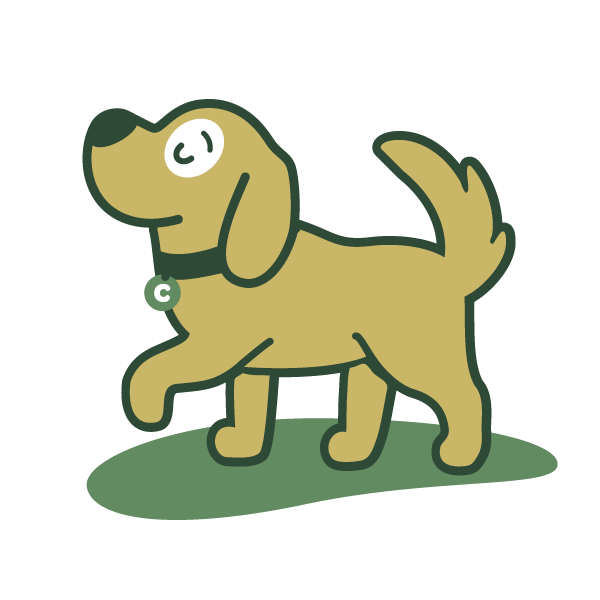 Flycatcher, Inc — ChewDoo_Dog-walkingclean.png