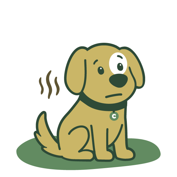 Flycatcher, Inc — ChewDoo_dog-stinky.png